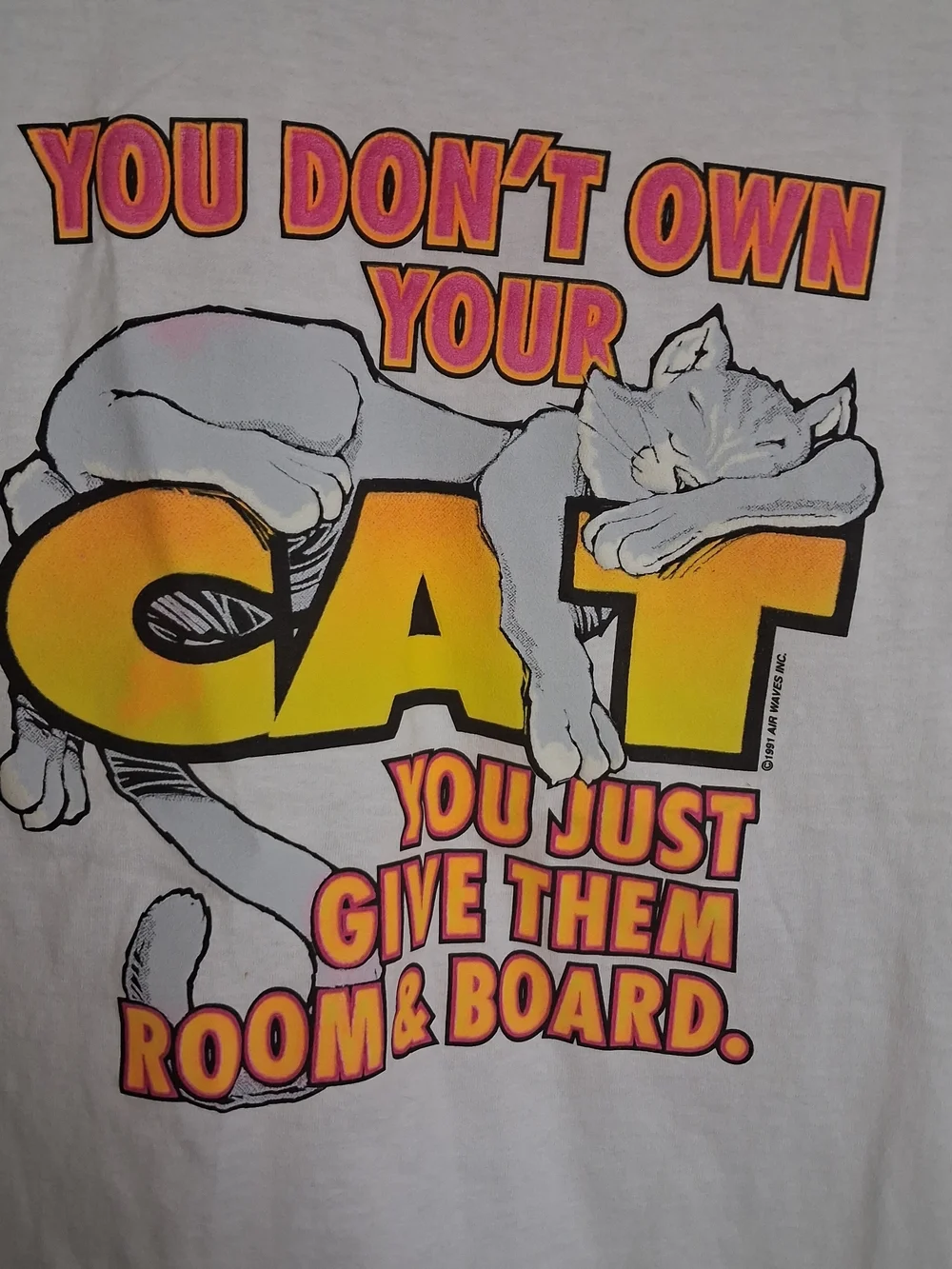 Vintage 1990's Cat Graphic Tee. You Don't Own Your Cat Design. Women's Size XL.